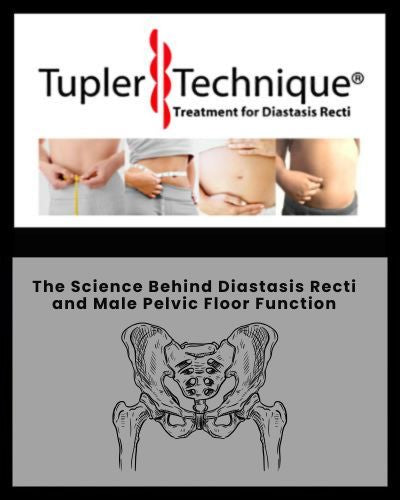 The Science Behind Diastasis Recti and Male Pelvic Floor Function | Tupler Technique®