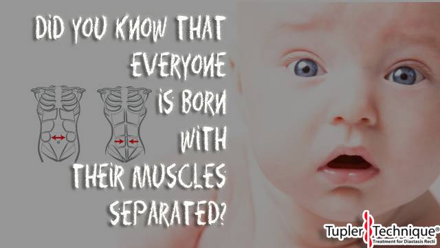Born Separated: The Fascinating Truth About Our Abdominal Muscles