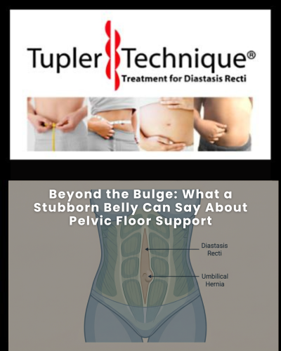 Beyond the Bulge: What a Stubborn Belly Can Say About Pelvic Floor Support