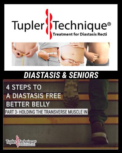 Get a Stronger and Flatter Belly with 4 Easy Steps - Part 3: Holding the Transverse Muscle In | Tupler Technique® - diastasisrehab